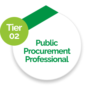 Public Procurement Professional